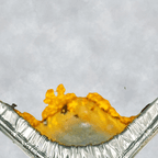 Best Bolo de Cenoura (Carrot Cake) in Lexington, KY